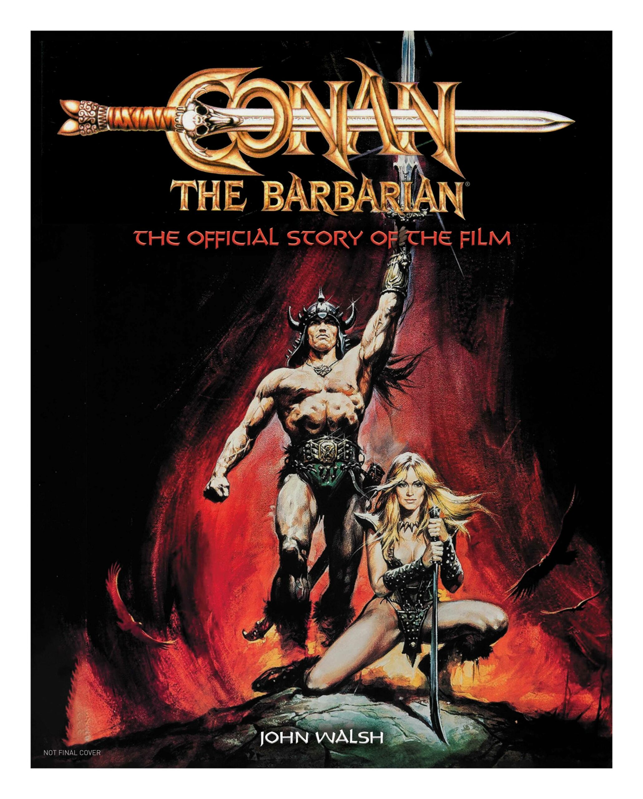 CONAN BARBARIAN OFFICIAL STORY OF FILM HC