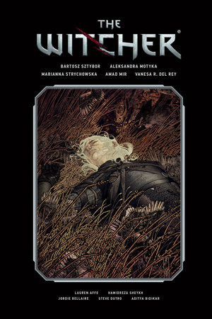 WITCHER LIBRARY EDITION VOL 02 HC
